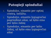 Lęšių kuriami atvaizdai 2 puslapis