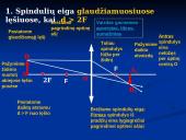 Lęšių kuriami atvaizdai 3 puslapis