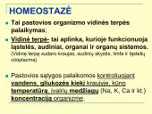 Homeostazė ir termoreguliacija (skaidrės) 2 puslapis
