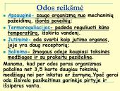Homeostazė ir termoreguliacija (skaidrės) 11 puslapis