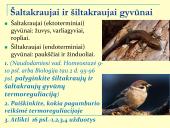 Homeostazė ir termoreguliacija (skaidrės) 15 puslapis