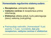 Homeostazė ir termoreguliacija (skaidrės) 3 puslapis