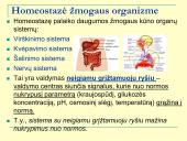 Homeostazė ir termoreguliacija (skaidrės) 4 puslapis
