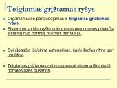 Homeostazė ir termoreguliacija (skaidrės) 5 puslapis