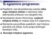 Mitybos grandinės ir tinklai (skaidrės) 2 puslapis