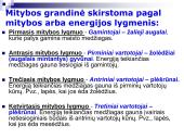 Mitybos grandinės ir tinklai (skaidrės) 7 puslapis