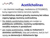 Sinapsė 13 puslapis