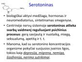 Sinapsė 16 puslapis