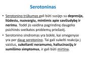 Sinapsė 17 puslapis