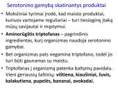 Sinapsė 18 puslapis