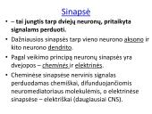 Sinapsė 7 puslapis