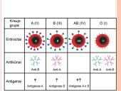 Kraujo donorystė (skaidrės) 5 puslapis