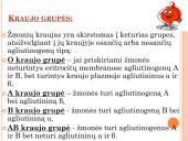 Kraujo donorystė (skaidrės) 6 puslapis