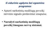 Narkotinių medžiagų poveikis nervų sistemai 2 puslapis