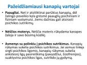 Narkotinių medžiagų poveikis nervų sistemai 12 puslapis