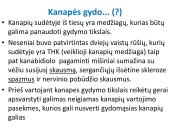 Narkotinių medžiagų poveikis nervų sistemai 13 puslapis