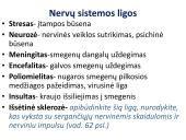 Narkotinių medžiagų poveikis nervų sistemai 14 puslapis