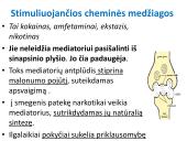 Narkotinių medžiagų poveikis nervų sistemai 4 puslapis