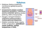 Narkotinių medžiagų poveikis nervų sistemai 5 puslapis