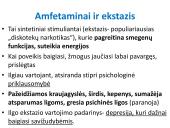 Narkotinių medžiagų poveikis nervų sistemai 6 puslapis