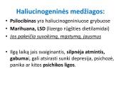 Narkotinių medžiagų poveikis nervų sistemai 9 puslapis
