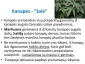 Narkotinių medžiagų poveikis nervų sistemai 10 puslapis