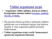 Limfinė sistema (skaidrės) 6 puslapis