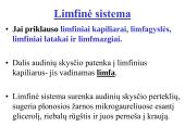 Limfinė sistema (skaidrės) 9 puslapis