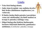 Limfinė sistema (skaidrės) 10 puslapis