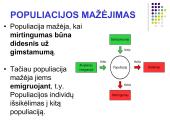 Populiacija. Veiksniai, lemiantys jos dydžio kitimą 6 puslapis