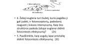 Energijos virsmai ląstelėje ir  organizme (kvėpavimas ir  fotosintezė)    17 puslapis