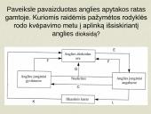 Anglies ir deguonies apytaka biosferoje (skaidrės) 11 puslapis