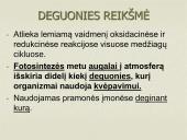 Anglies ir deguonies apytaka biosferoje (skaidrės) 4 puslapis