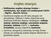 Anglies ir deguonies apytaka biosferoje (skaidrės) 8 puslapis