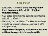 Anglies ir deguonies apytaka biosferoje (skaidrės) 9 puslapis