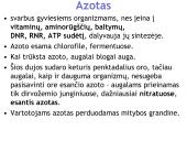 Azoto apytaka biosferoje. Skaidrės 2 puslapis