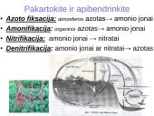 Azoto apytaka biosferoje. Skaidrės 12 puslapis