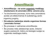 Azoto apytaka biosferoje. Skaidrės 6 puslapis