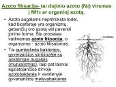 Azoto apytaka biosferoje. Skaidrės 7 puslapis