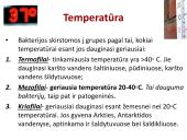 Bakterijos, virusai, ligos 16 puslapis