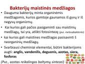 Bakterijos, virusai, ligos 17 puslapis