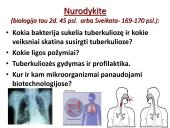 Bakterijos, virusai, ligos 19 puslapis