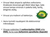 Bakterijos, virusai, ligos 5 puslapis