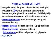 Bakterijos, virusai, ligos 7 puslapis