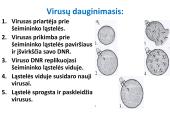 Bakterijos, virusai, ligos 10 puslapis