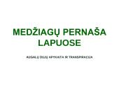 Medžiagų pernaša lapais