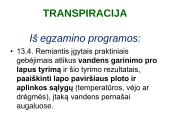 Medžiagų pernaša lapais 12 puslapis