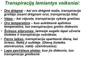 Medžiagų pernaša lapais 16 puslapis