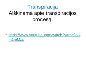 Medžiagų pernaša lapais 17 puslapis