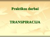 Medžiagų pernaša lapais 18 puslapis